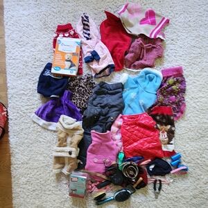 Massive lot bundle of dog clothes and supplies